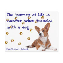 救出。買い物をするな。