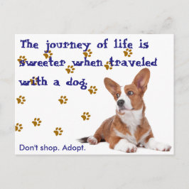 救出。買い物をするな。 ポストカード