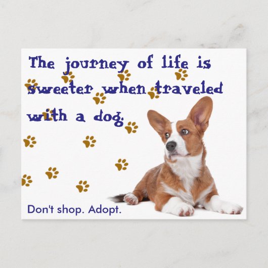 救出。買い物をするな。 ポストカード (正面)