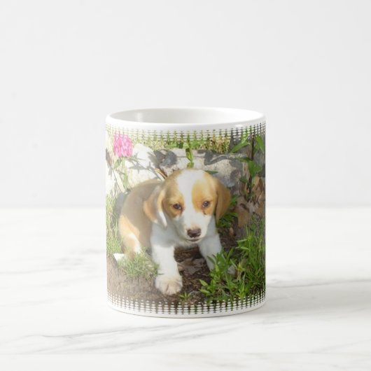 救助された子犬 コーヒーマグカップ (中央)