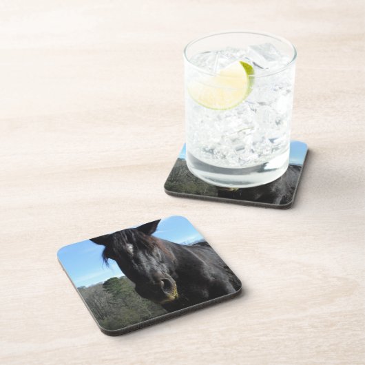 救助された黒荷車を引く馬 コースター (右側)