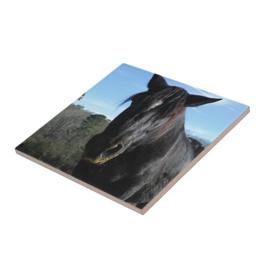 救助された黒荷車を引く馬 タイル (側面)