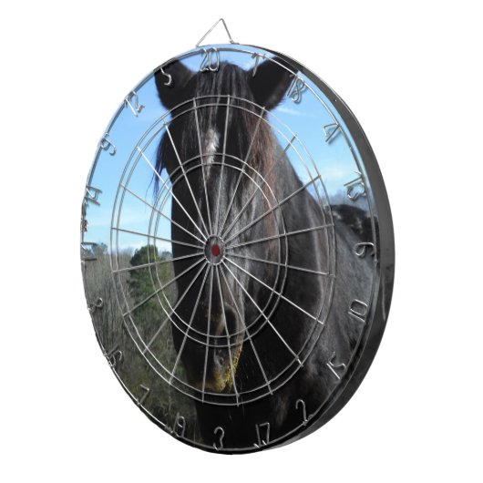 救助された黒荷車を引く馬 ダーツボード (正面右)