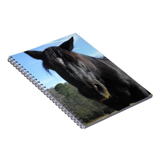 救助された黒荷車を引く馬 ノートブック (右側)
