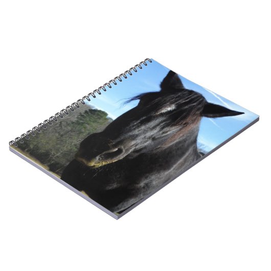 救助された黒荷車を引く馬 ノートブック (左側)