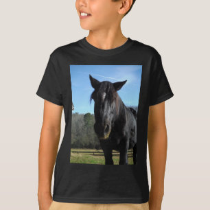 救助された黒荷車を引く馬 Tシャツ
