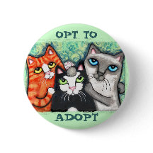 救助された/避難所猫