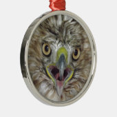 救助され、解放されたタカ メタルオーナメント (右)