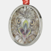 救助され、解放されたタカ メタルオーナメント (左)