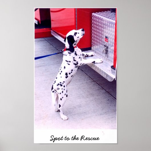 救助に立ち向かう ポスター (正面)