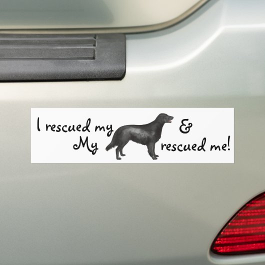 救助の平ら上塗を施してあるレトリーバー バンパーステッカー (車上)