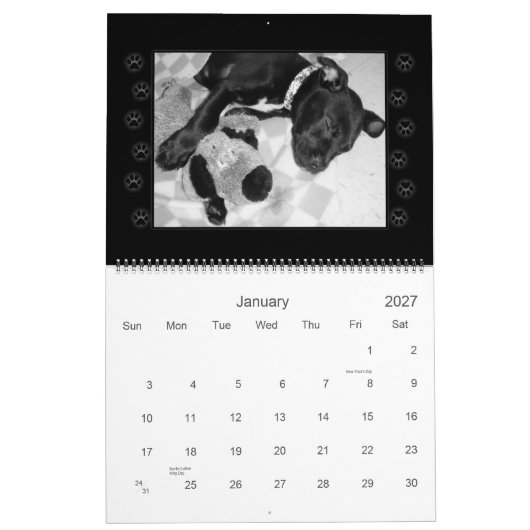 救助はカレンダーの後をつけます カレンダー (1月 2027)