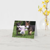 救助は後をつけます"Sammi"および"Rilie "の カード (黄色い花)