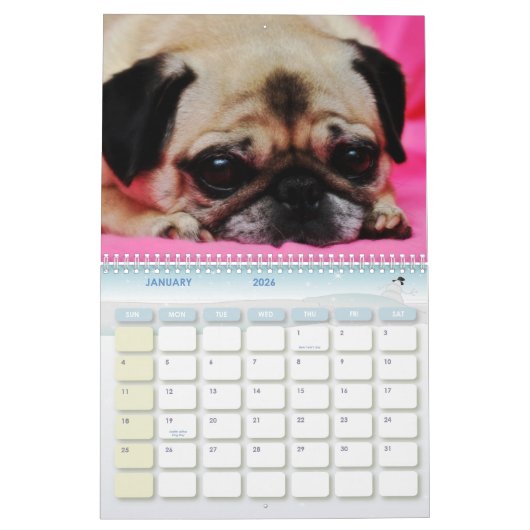 救助はIIカレンダーの後をつけます カレンダー (1月 2026)