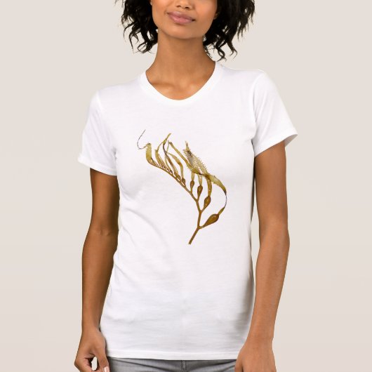 救助へのケルプ Tシャツ (正面)