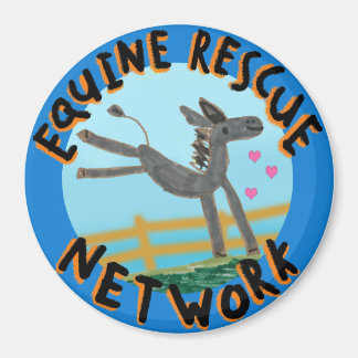 救助ウマ科の網磁石 マグネット