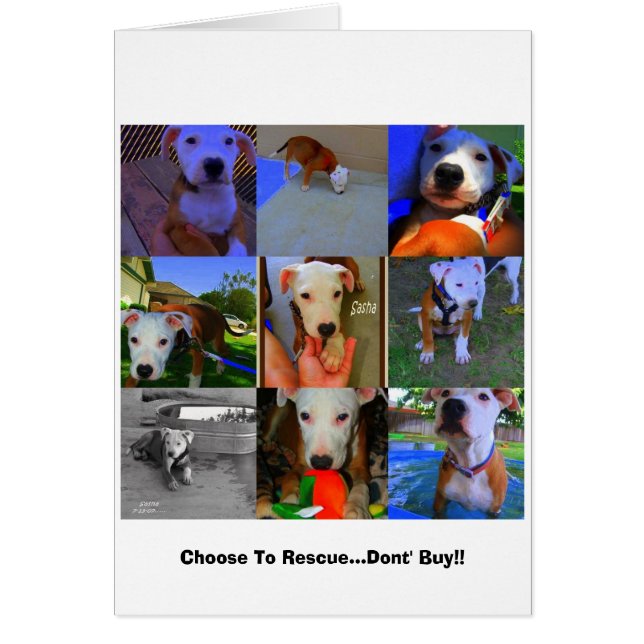 救助カード。 (正面)