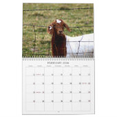 救助動物のカレンダー カレンダー (2月 2026)