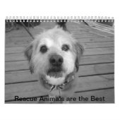 救助動物のカレンダー カレンダー (カバー)