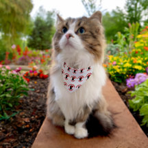 救助国際的猫の日