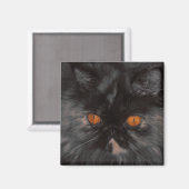 救助子猫磁石 マグネット (正面/裏面)
