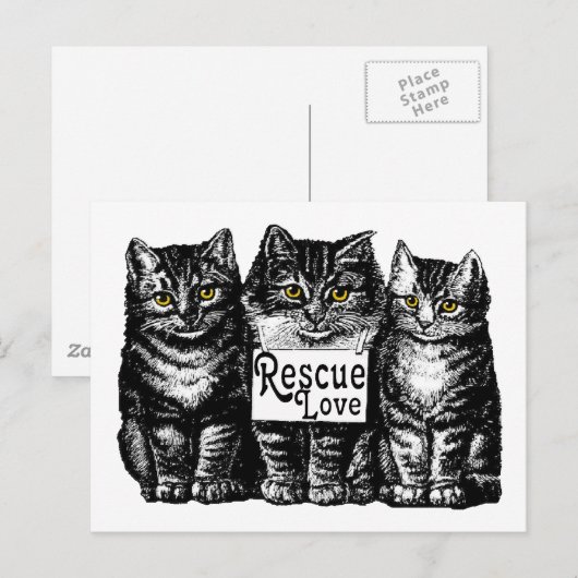 救助愛 ポストカード (正面/裏面)