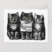 救助愛 ポストカード (正面)