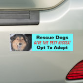 救助犬は最も最高のなキスを与えます! … バンパーステッカー (車上)