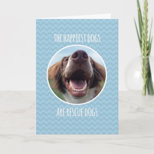 救助犬を採用するお祝い青いシェブロン カード (正面)