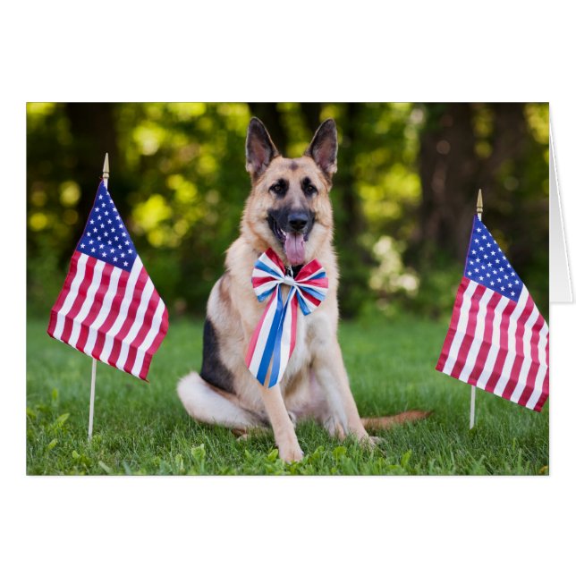 救助犬"タカ" (正面横)