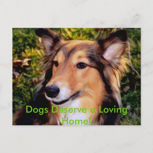 救助犬 ポストカード (正面)