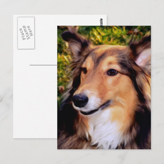 救助犬 ポストカード (正面/裏面)