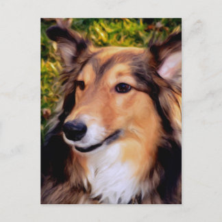 救助犬 ポストカード