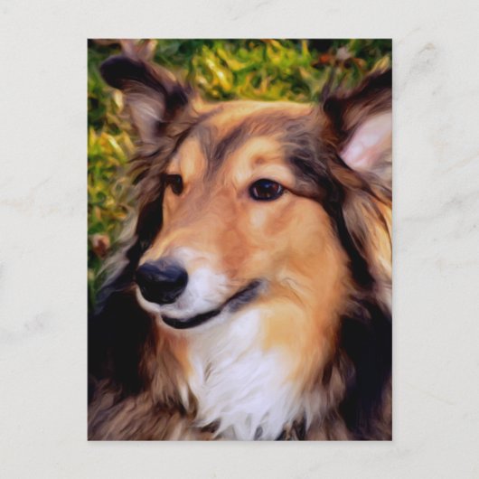 救助犬 ポストカード (正面)