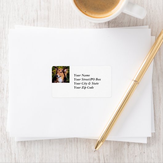 救助犬 ラベル (インサイチュ)