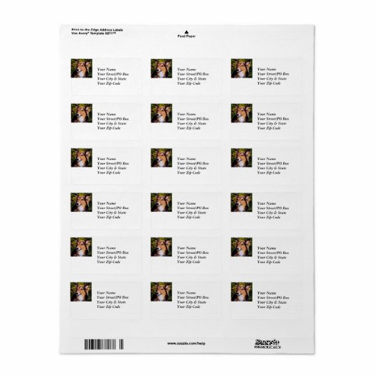 救助犬 ラベル (フルシート)