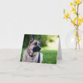 救助犬"リンク" カード (黄色い花)