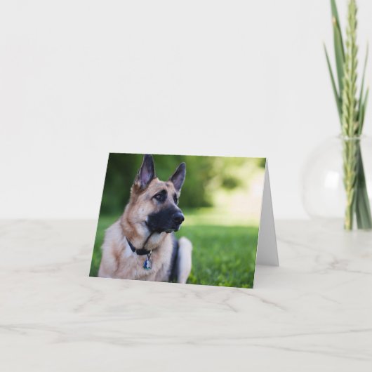 救助犬"リンク" カード (正面)