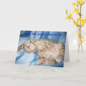 救助猫の挨拶状を採用して下さい カード (黄色い花)