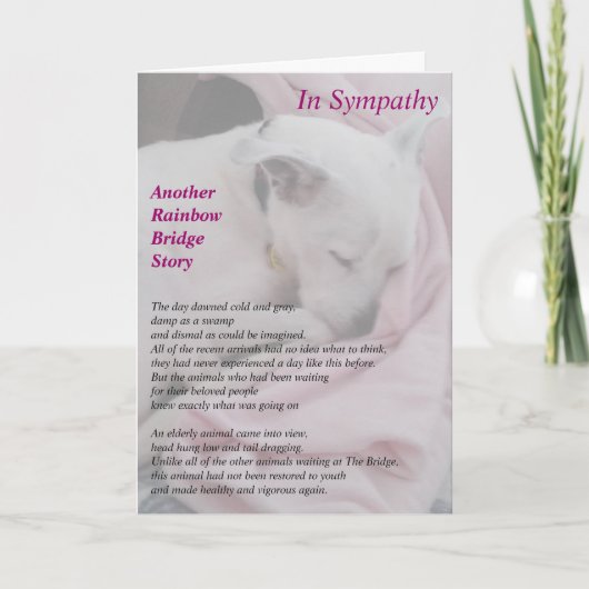 救助者の悔やみや弔慰カード カード (正面)