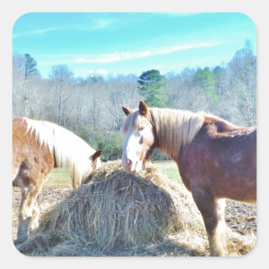 救助荷車を引く馬食べの干し草 スクエアシール (正面)