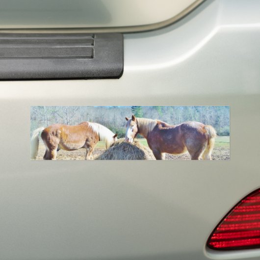 救助荷車を引く馬食べの干し草 バンパーステッカー (車上)