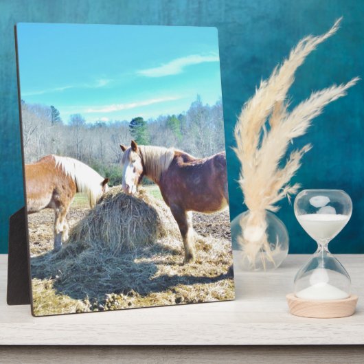 救助荷車を引く馬食べの干し草 フォトプラーク (側面)