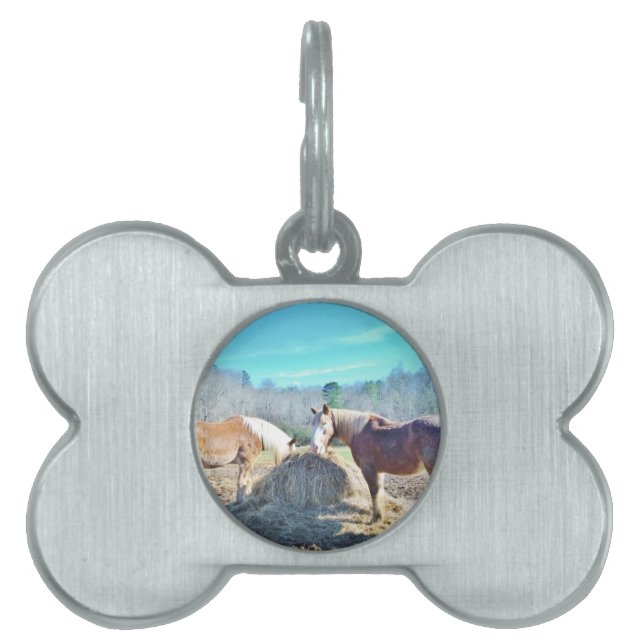 救助荷車を引く馬食べの干し草 ペットネームタグ (正面)