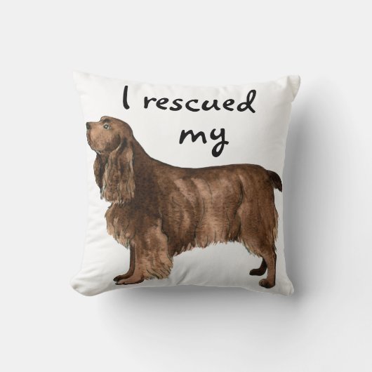 救助隊スパニエル犬 クッション (正面)