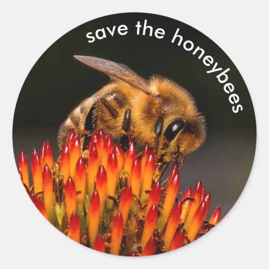 救受精するミツバチ ラウンドシール (正面)