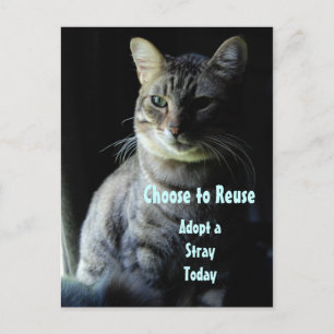 救命だ！シェルターペットをお願いします！ ポストカード