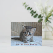 救命を取り入れる。ポストカード ポストカード (スタンド正面)