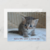 救命を取り入れる。ポストカード ポストカード (正面/裏面)