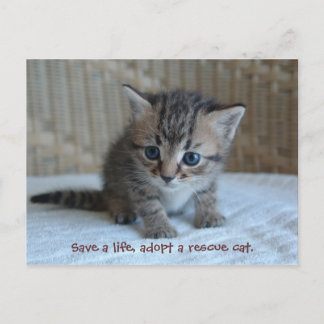 救命を取り入れる。ポストカード ポストカード